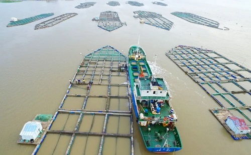 溫嶺市水產技術推廣站榮獲首批全國星級基層推廣機構稱號